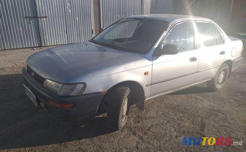 1997' Toyota Corolla photo #1