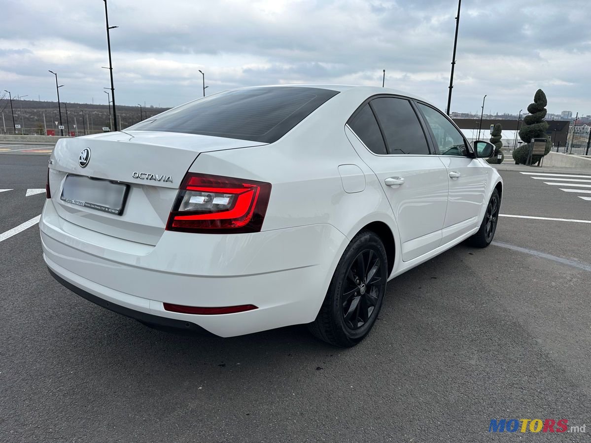 2019' Skoda Octavia photo #2
