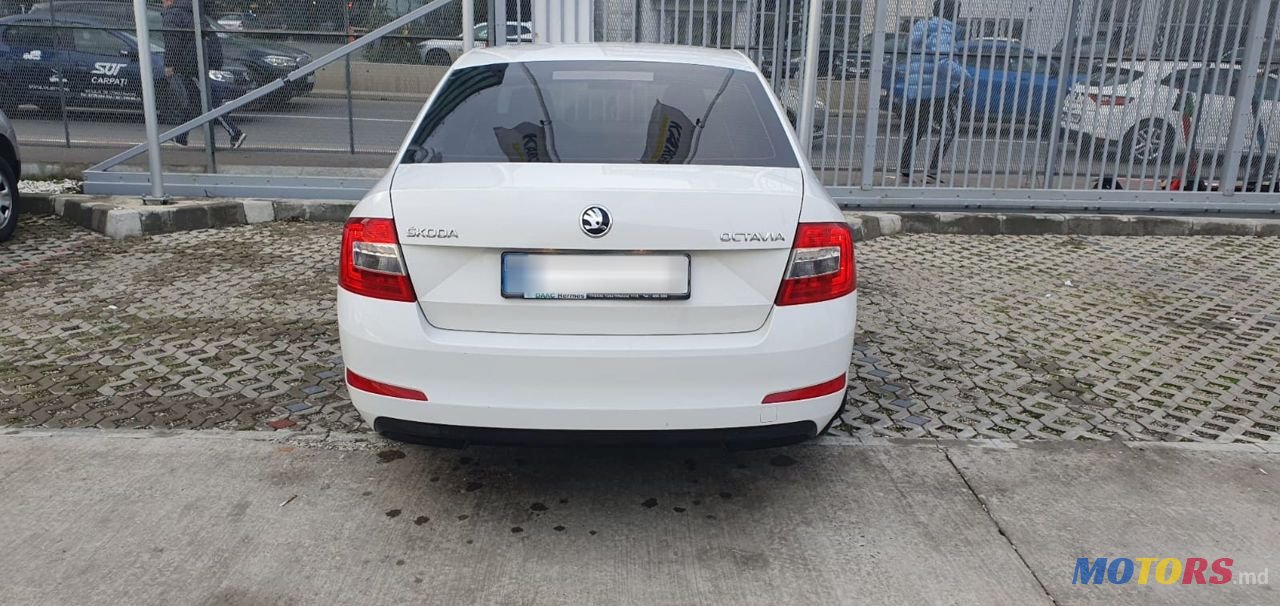 2014' Skoda Octavia photo #4