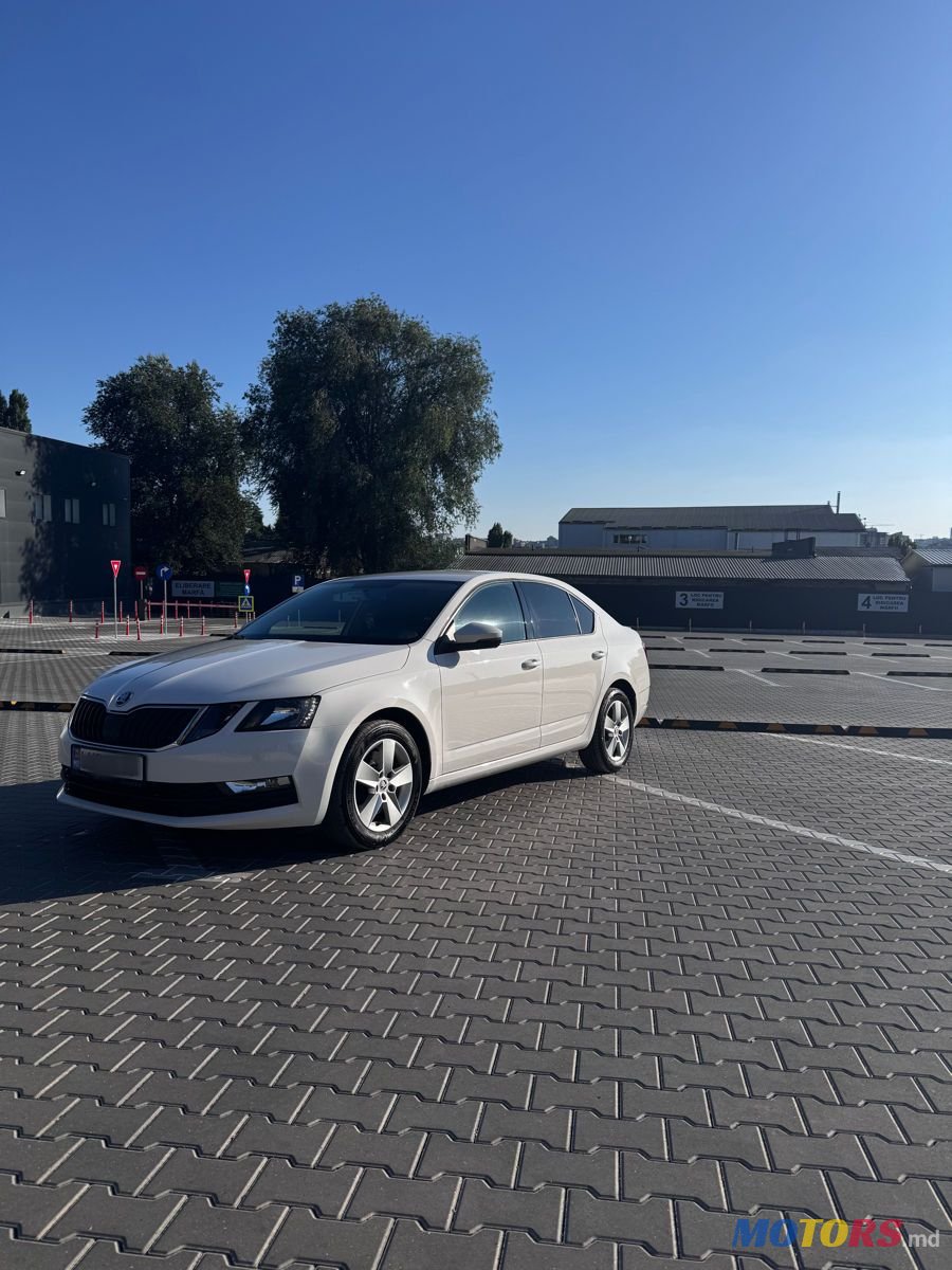 2017' Skoda Octavia photo #6