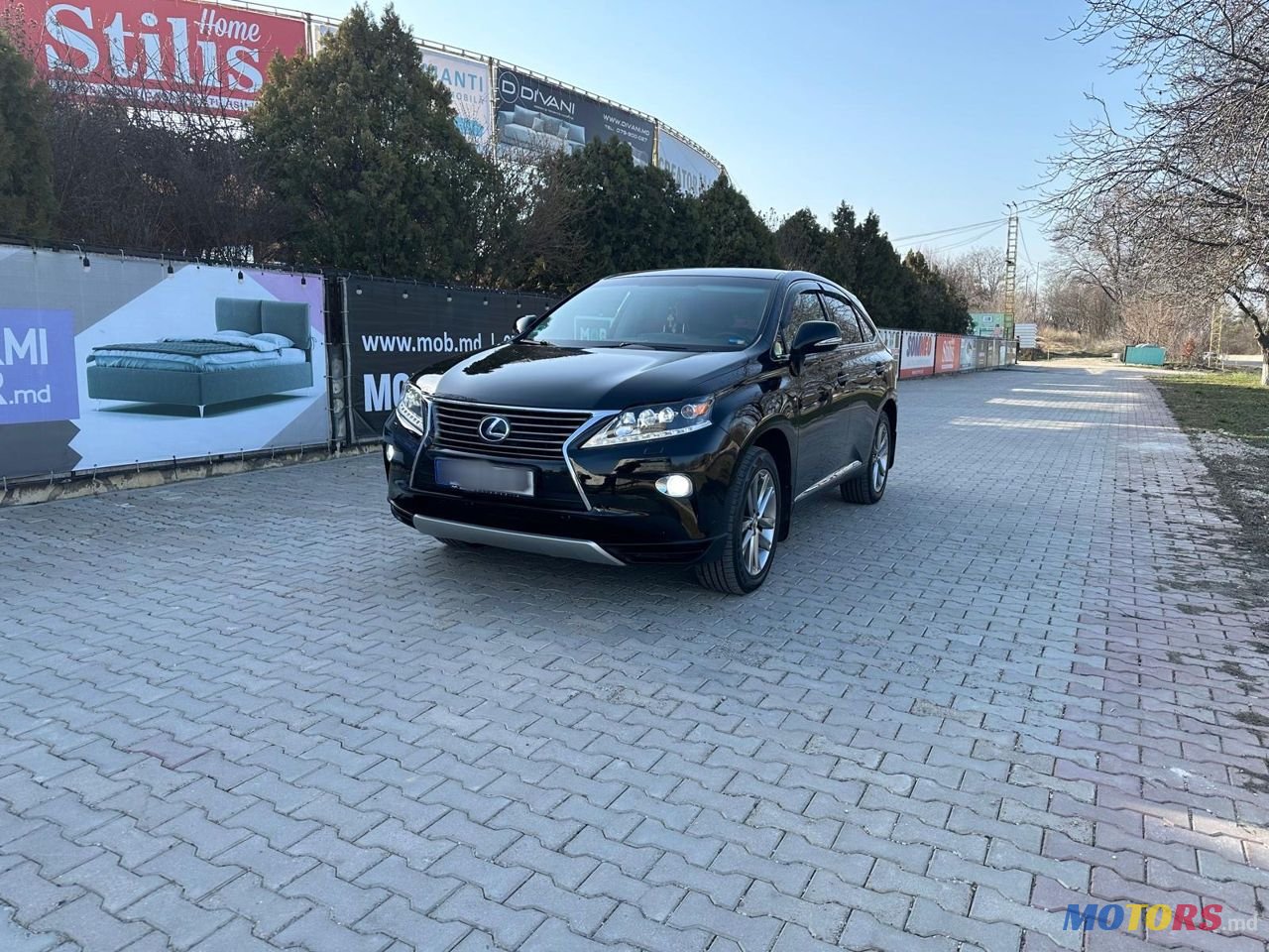 2013' Lexus Rx Series photo #6