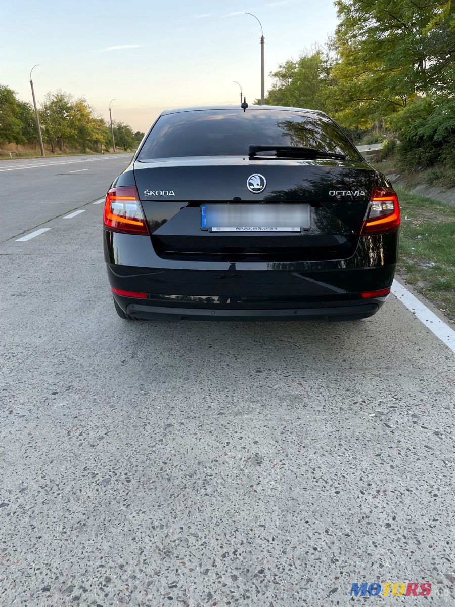 2017' Skoda Octavia photo #4