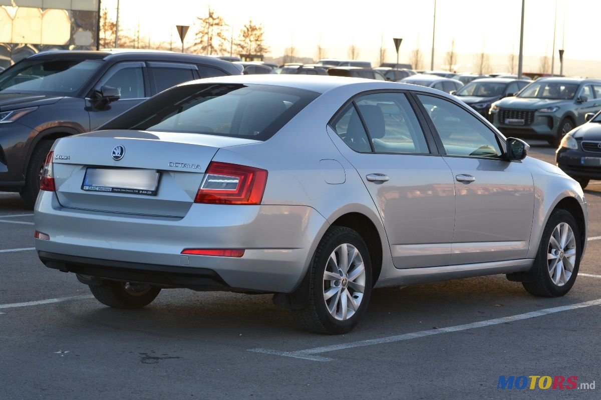 2015' Skoda Octavia photo #5