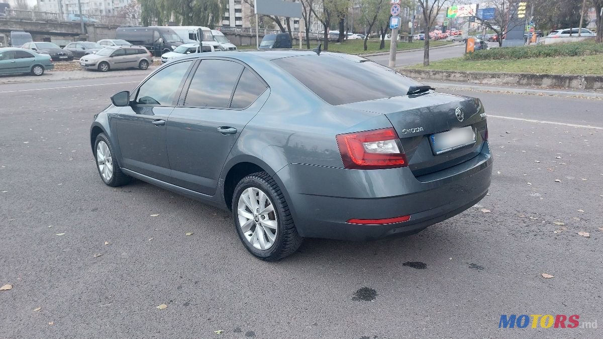 2017' Skoda Octavia photo #4
