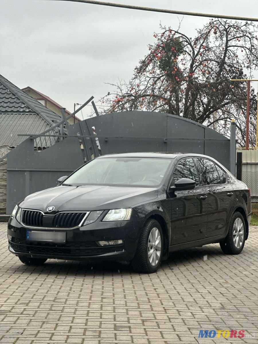 2019' Skoda Octavia photo #1