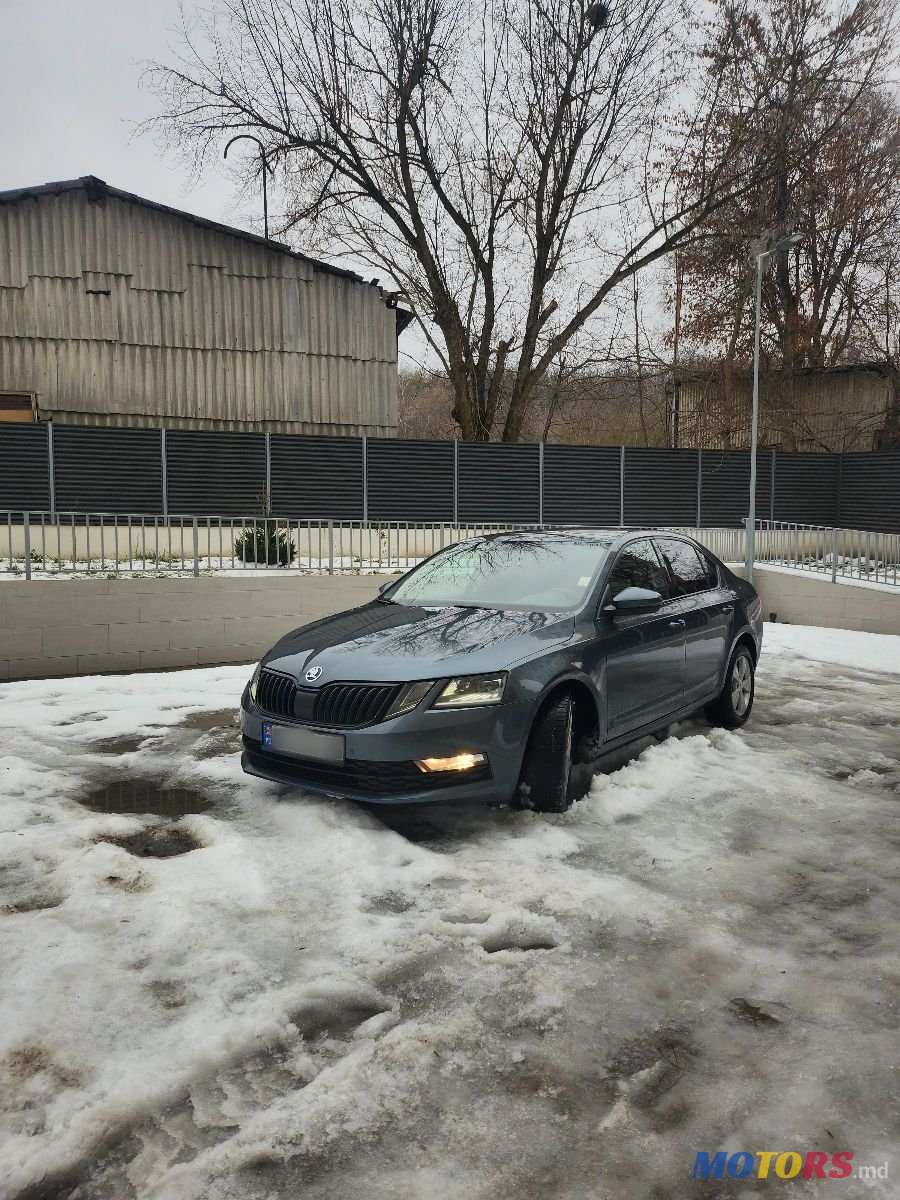 2017' Skoda Octavia photo #1