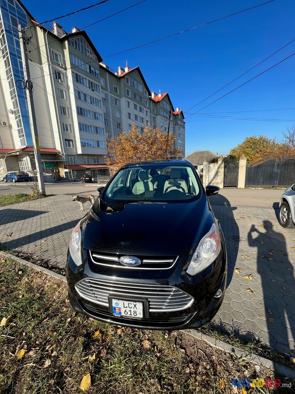2013' Ford C-MAX photo #5