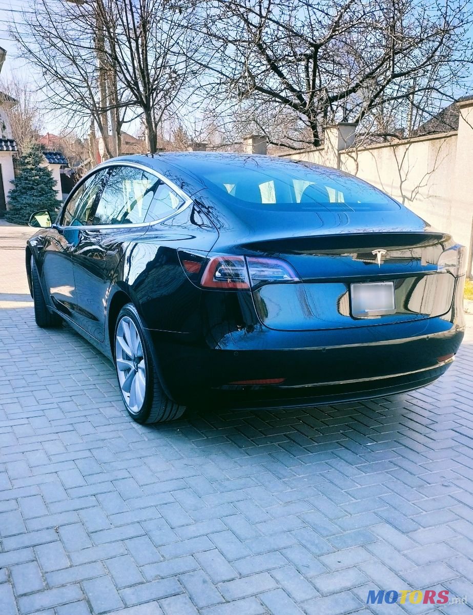 2019' Tesla Model 3 photo #3