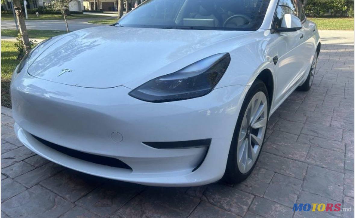 2023' Tesla Model 3 photo #2
