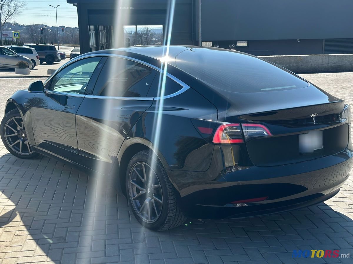 2019' Tesla Model 3 photo #2
